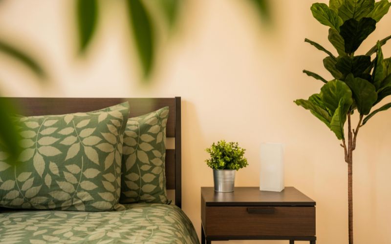 Indoor plant idea for indian bedroom